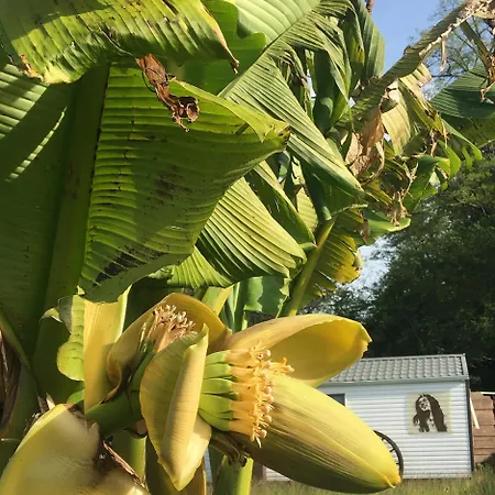 Pura Vida Dağ evi *