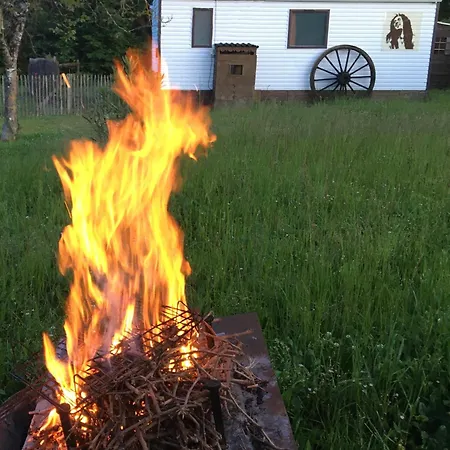 Pura Vida * Périssac