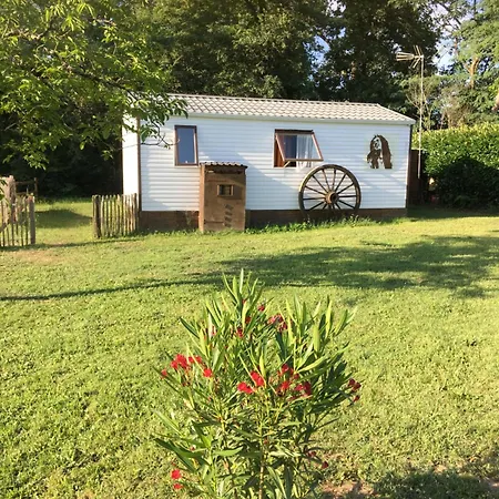 Pura Vida * Périssac