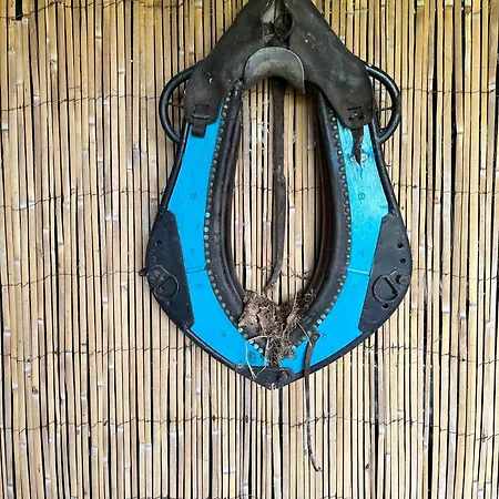 Dağ evi Pura Vida Périssac