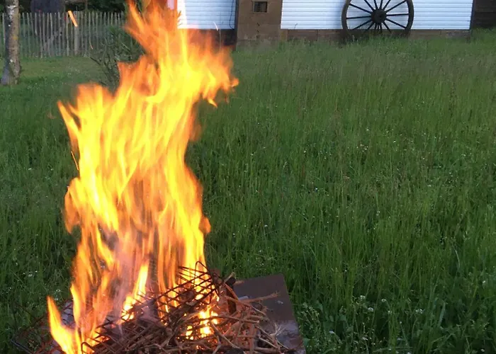 Pura Vida * Périssac