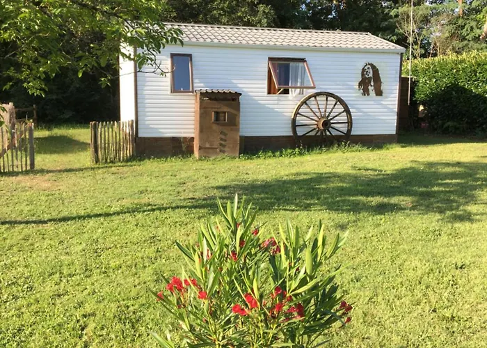 Pura Vida * Périssac