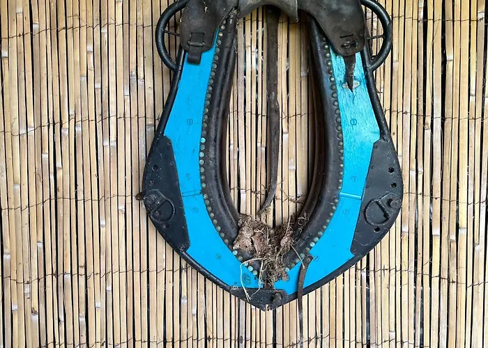 샬레 Pura Vida Périssac